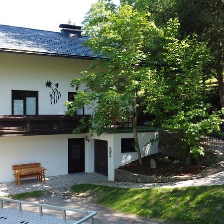 דירות שלאדמינג Haus Schroffenstein מראה חיצוני תמונה
